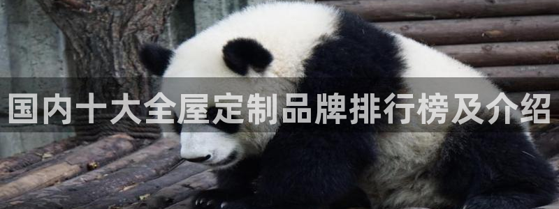bb电子为什么总赢不了