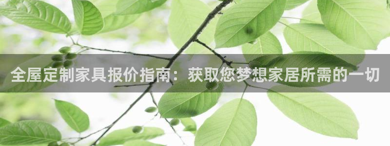 BB电子锁怎么接电