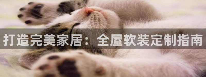 bb电子掉彩金