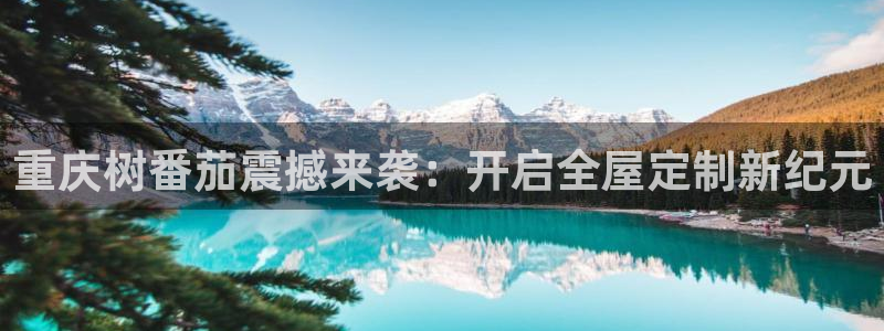 BB电子骗局