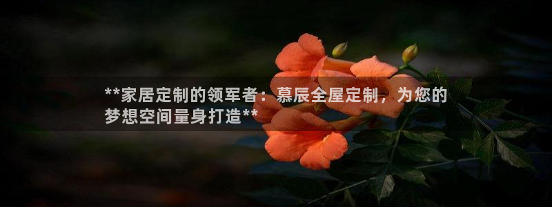 BB电子烟官网