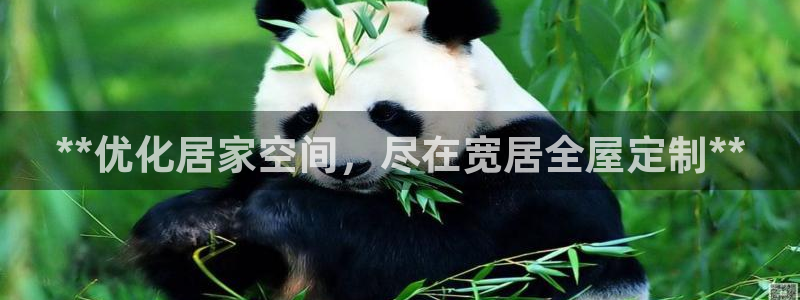 bb电子怎么样