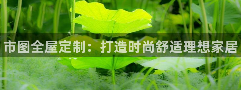 网上bb电子为什么那么假的