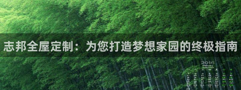 bb电子哪个平台好用点