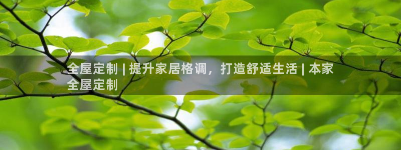 BB电子骗局