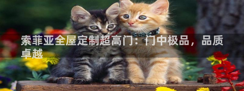 bb电子怎么英语怎么说