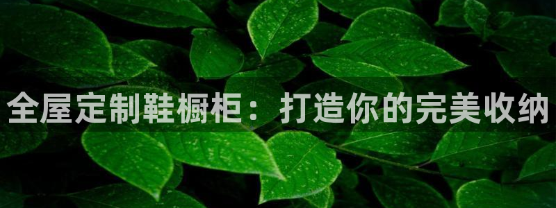BB电子开户