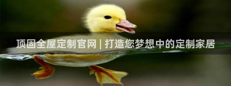 bb电子哪个平台好些