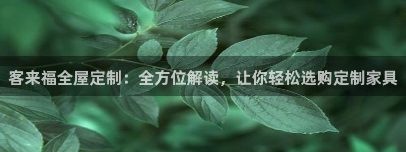 bb电子怎么英语怎么说