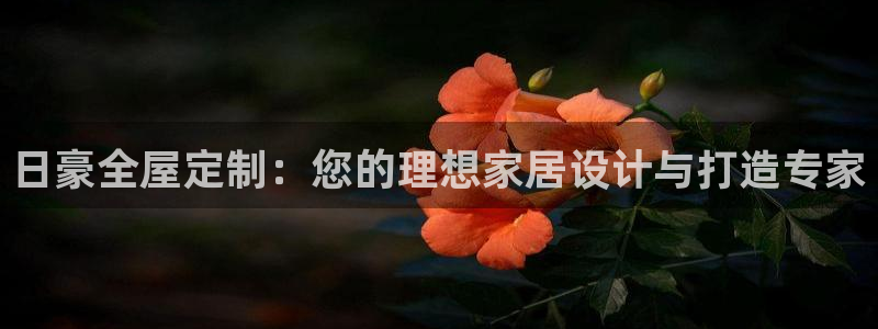 bb电子怎么样