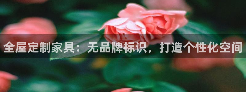 bb电子哪个平台好点