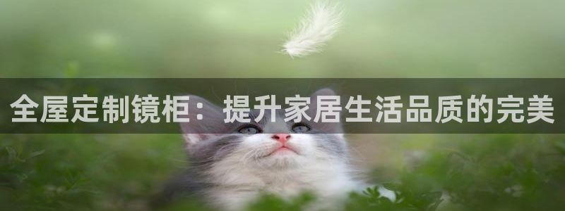 BB电子骗局