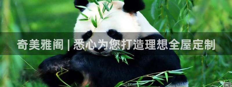 BB电子什么时候容易爆大奖
